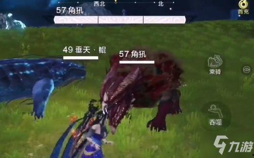 妄想山海角,探寻幻想与现实交织的“妄想山海角”世界奇观